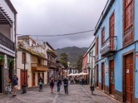 Teror